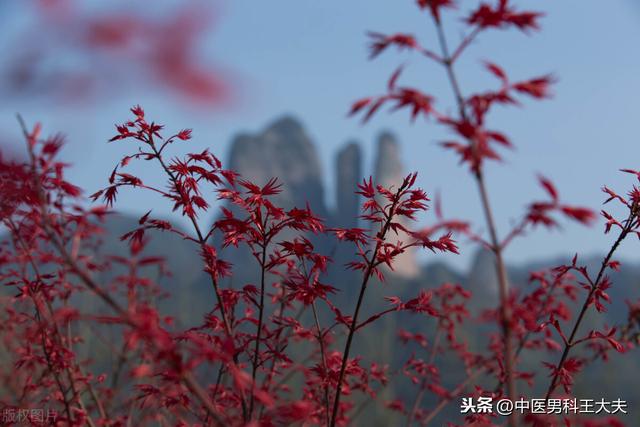 经常感觉腰疼，是不是肾虚了？