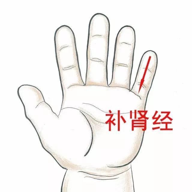 超级宝妈|宝宝汗多得像蒸桑拿要警惕是虚汗！专家称推拿能改善