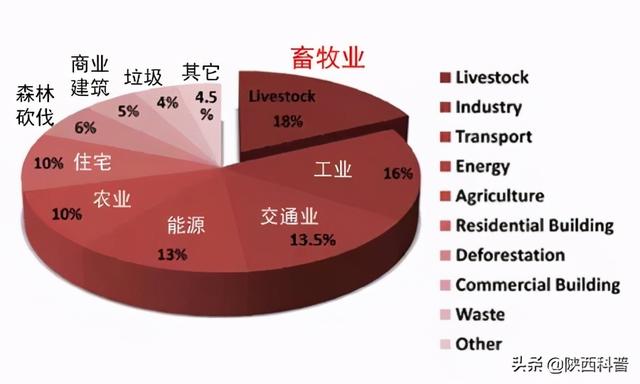 什么？吃饭竟然会影响地球环境！