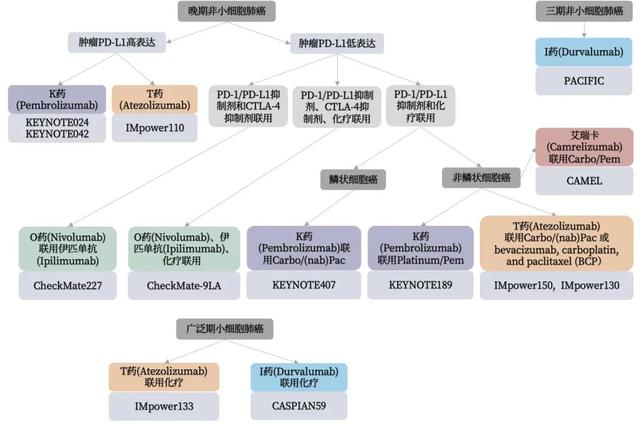 肺癌如何选择PD-1/PD-L1药物？这里有一份最新指南