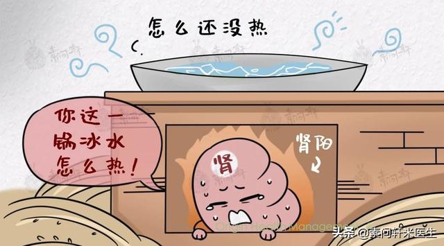 「你的育儿经」裴洪岗：为何中医思想是毒气？你为何要鼓吹1岁半孩子吃冰的？