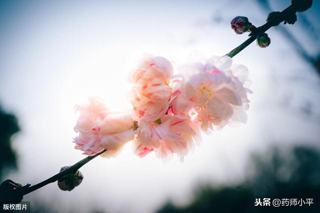 [你的育儿经]清明时节别忘了给孩子生命教育，25本关于生命和死亡的绘本都在这