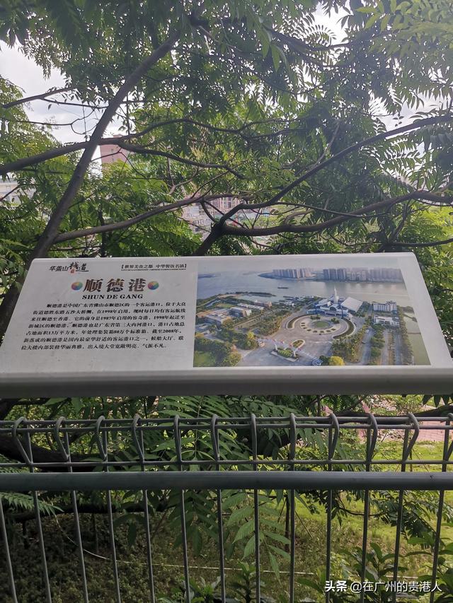 【山楂味的诗】走马观花，看顺德大良。