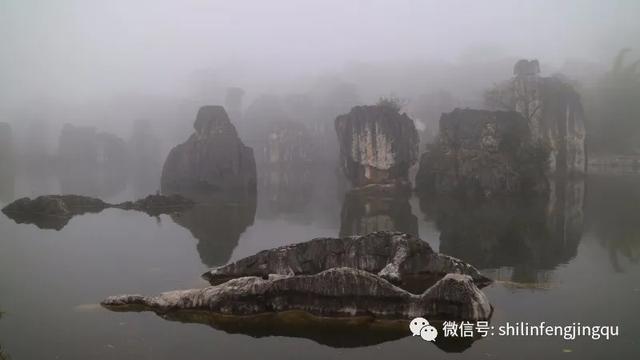 「趣旅游」【雾雪霜华】石林湖的白雾凉波