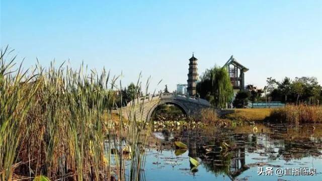 #旅行百事通#阜阳有什么好玩的地方？