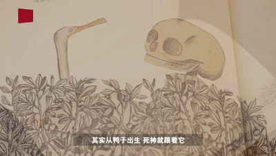 赵文|她守护在离天堂最近的病房：给予生命最温柔的告别
