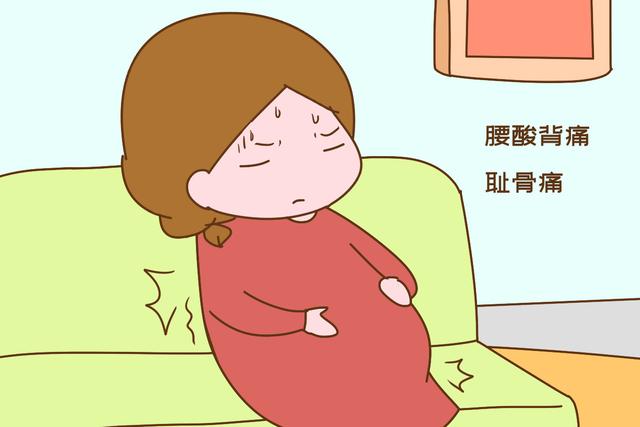 你的育儿经：到孕晚期，准妈妈若有这几种感觉，暗示胎宝发育很好