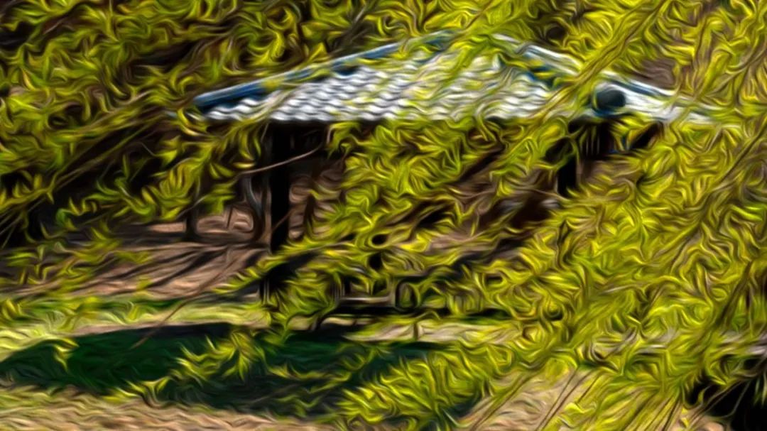 Shared Beautiful Prose: Springtime Fleeting, Love Brings Warmth