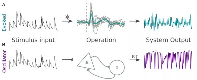 PNAS：音乐刺激调制神经节律的两种理论模型