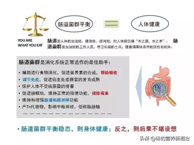 游走在肠道内的益生菌，你了解多少？