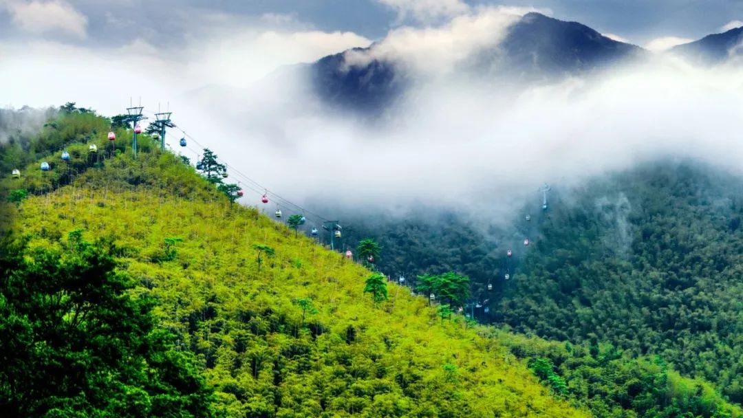 「麻辣杂谈」无锡首批8家景区室外区域明天起将有序开放