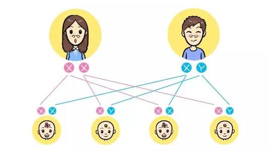 你的育儿经|肚子尖尖生男孩，肚子圆圆生女孩，靠谱吗？生男生女原来取决于它