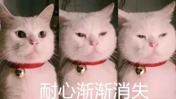 暖先生格调■“谁让你当老师的,你活该!”