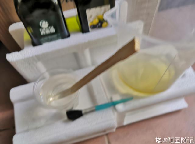 家里的花招了蚧壳虫，橄榄油加洗洁精，给花喷点效果好