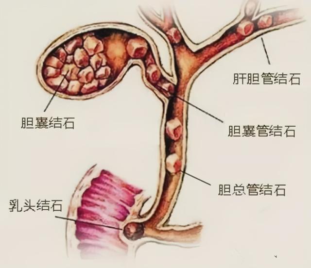 理性探讨：知晓病情久拖不治，到底可行么？