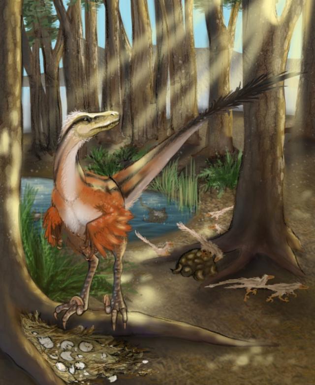 「环球网」研究称“最后的猛禽”恐龙可能拥有羽毛和尾巴