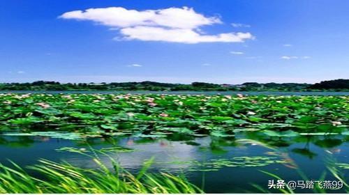 旅行柚子君@湖北最值得去的湖，你一定不能错过哦，有你旅游过的湖吗？