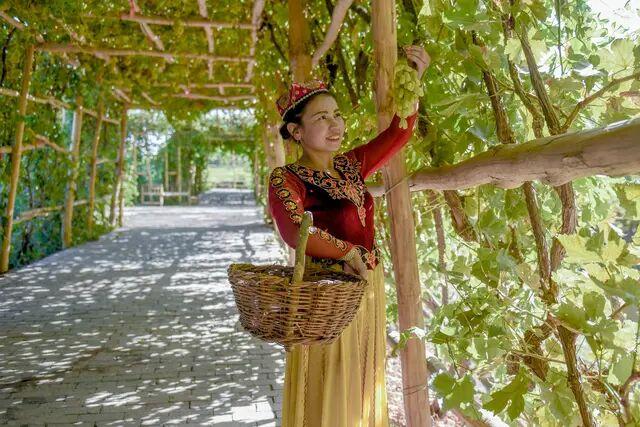 【逆旅行人】新疆真是个“独特”的地方，光是看当地的特产和美食，人家就赢了