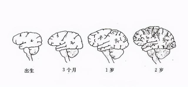 宝宝真的有“宫内记忆”吗？4岁女儿的话，让妈妈浑身不自在