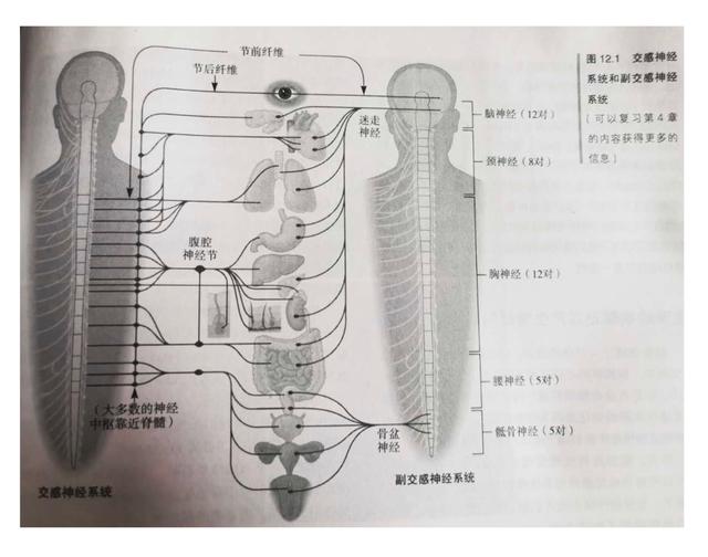 「超级宝妈」戒了尿不湿大半年，孩子又开始频繁尿裤子？3步找准原因轻松应对