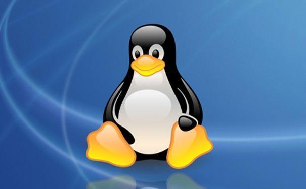 Linux 开发过程那么麻烦，是否值得？