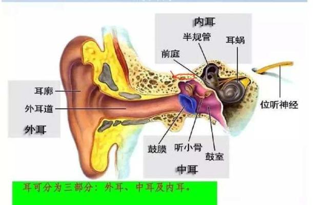 中耳炎|儿时这个不起眼的小事，让52岁的大哥脑子化脓