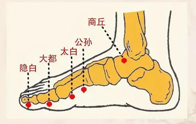 五个原因令身体的钙“无情”流失！吃大把钙片，不如艾灸5分钟