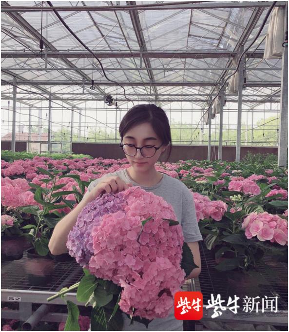 东洲|“90后”花房姑娘，返乡创业种出“致富花”