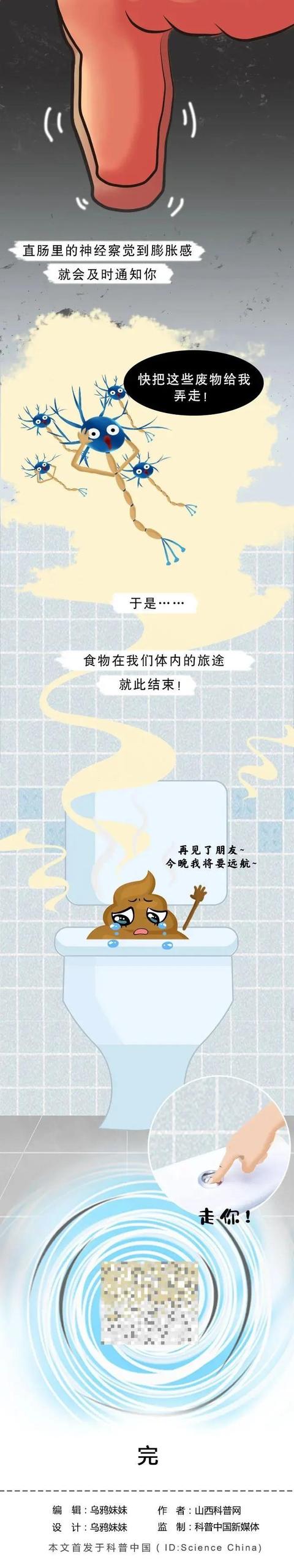 食物|吃下去的食物是如何变成屎的？对不起，又来科普奇怪的知识了