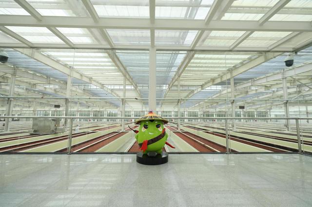 数字化|数字天府新动能?丨川菜产业数字化：从选择题到必做题