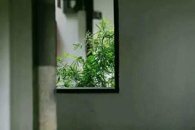 遇到极品婆婆怎么办，估计的凉拌！