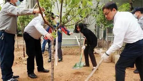 索菲亚|索菲亚2020业绩预增背后：苛求环保高标准，打造安全健康家居体验