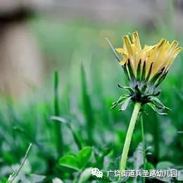#你的育儿经#【兵幼.云时光】——“五个一”居家防疫亲子活动指南⑩