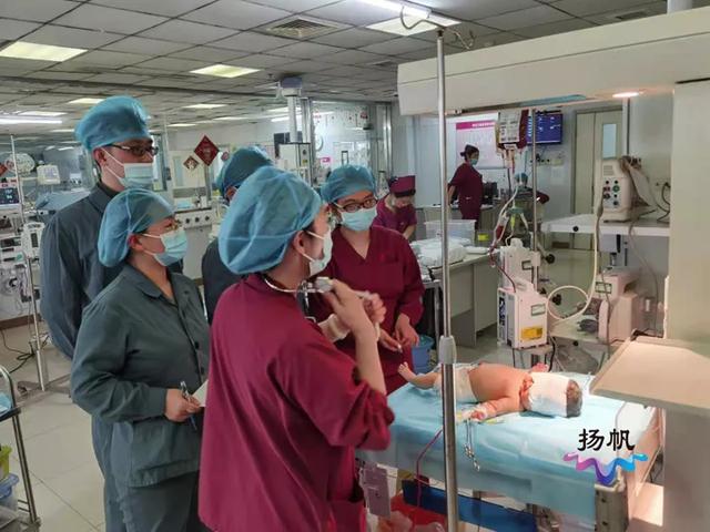 宝宝|惊心动魄！扬州一“熊猫血”新生儿患溶血症，必须全身换血才有生机……