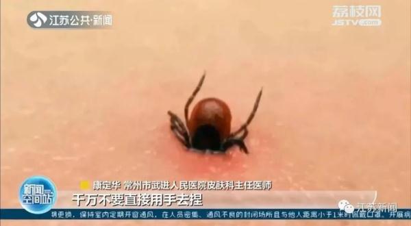 小琳|清明出游后腿上多了几个红斑！医生紧急提醒