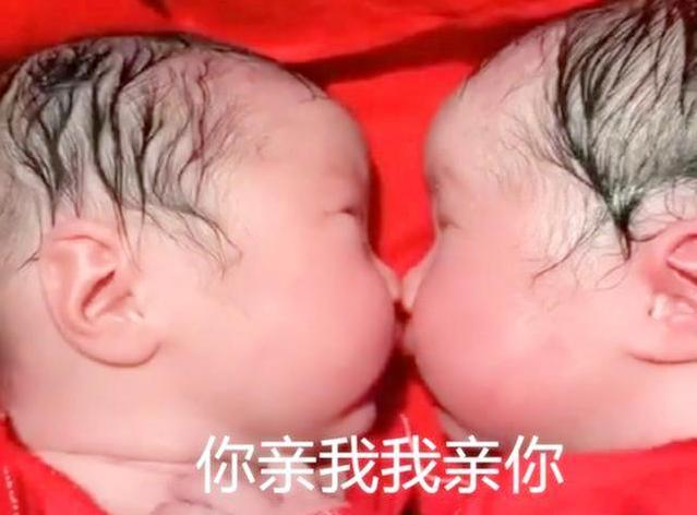 你的育儿经：双胞胎刚出生就“秀恩爱”，医生看后不忍心拆散：忘喝孟婆汤了？