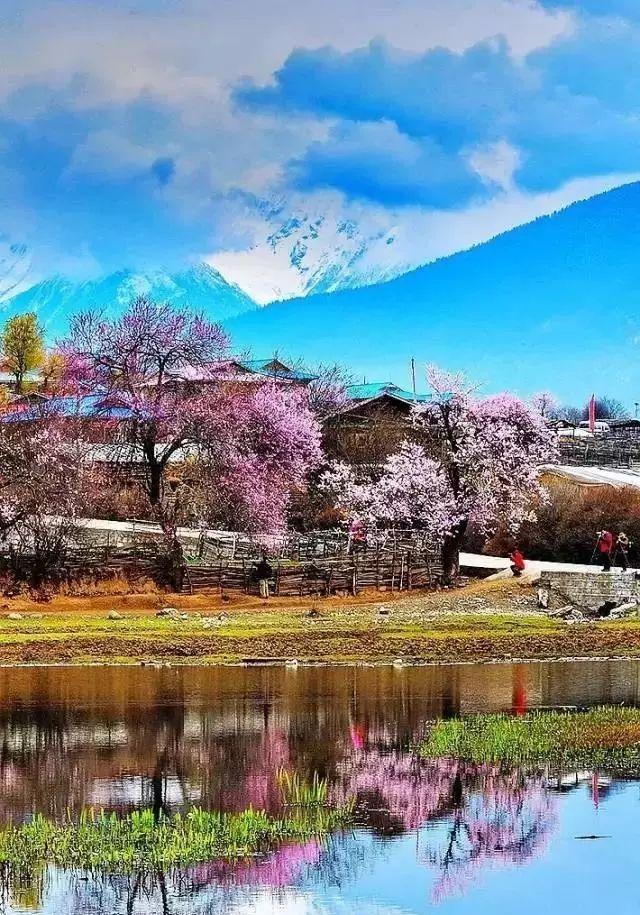 『世界那么大』春天踏青的好去处，这几个地方不妨去看看