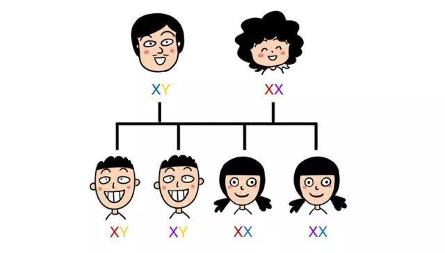 你的育儿经|孩子智商由什么决定？高商智孩子的6大特点，看看你家有没？