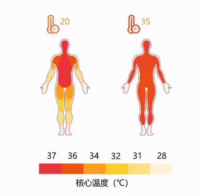 你为什么晚上失眠、睡不着？糖尿病和睡眠有什么关系？