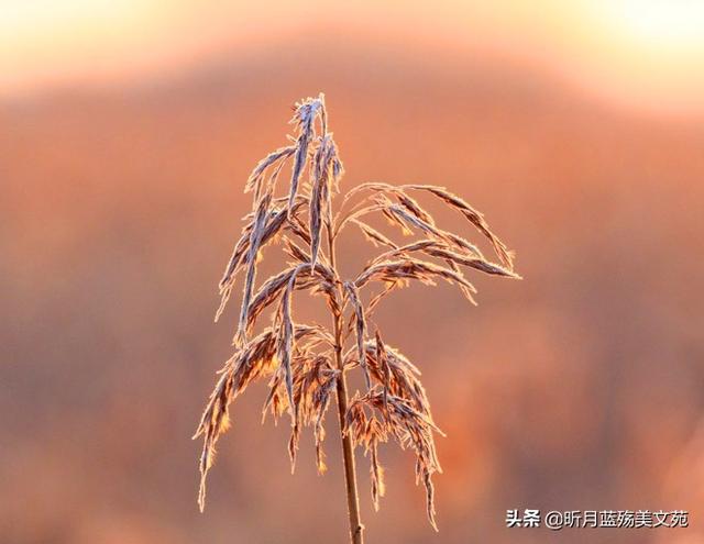 余生，很想见到你，不是在梦里