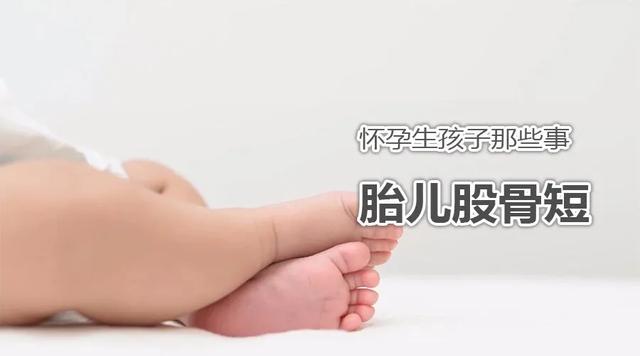 #你的育儿经#怀孕生宝宝那些事之“胎儿股骨偏短”
