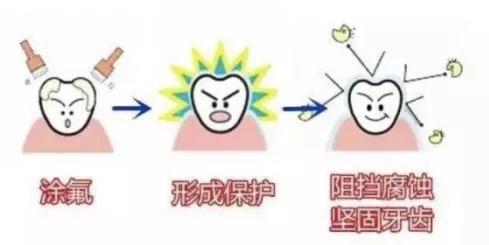 牙齿|带你一起了解氟防龋