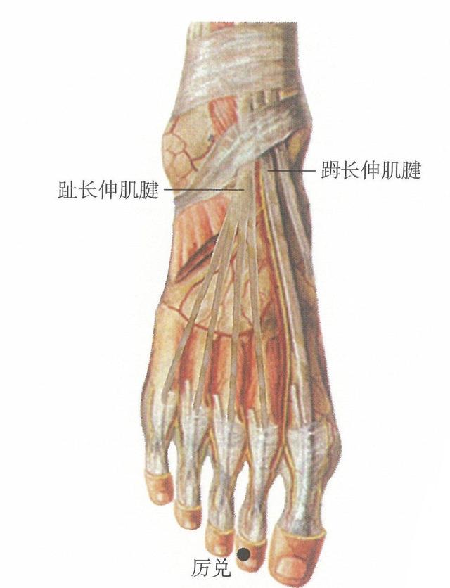 井穴养生，教你如何快速掌握重要的穴位知识