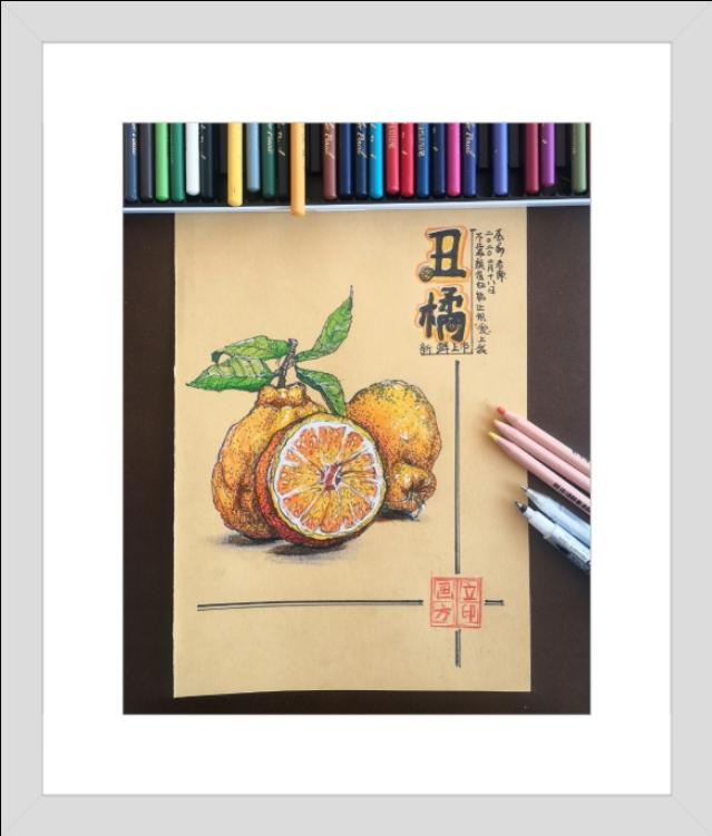 你的育儿经■少儿美术教育停课不停学||亲子绘画水果线描写生零基础教程
