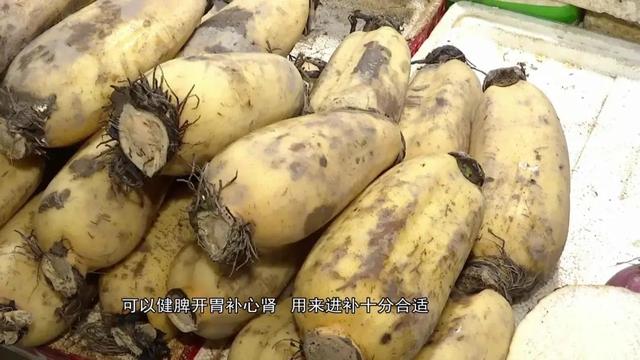 今日靓汤（温补益肾、健脾开胃）