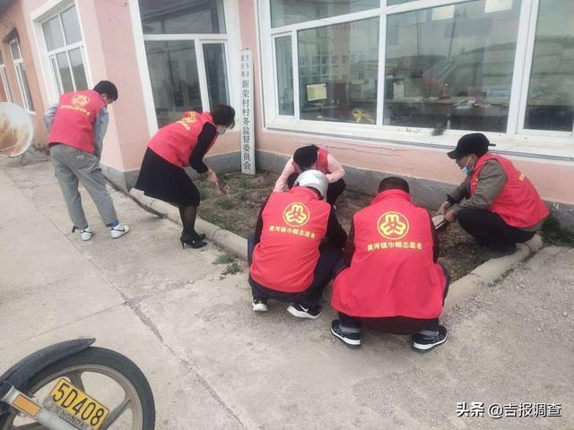 吉报调查东丰县黄河镇妇联开展“美丽庭院、干净人家”创建巾帼志愿服务活动