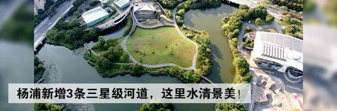 筷子|洗完筷子，头朝上放还是朝下放？很多人还