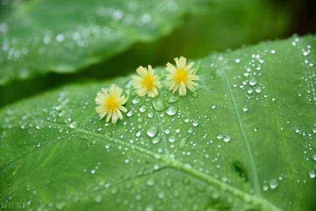 宋词里面的一场秋雨，淅淅沥沥下了千年，沾湿了岁月，淋湿了眼眶