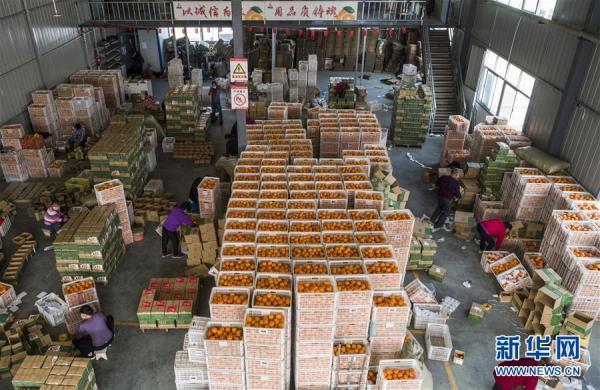 光明网■湖北秭归：电商复工助农产品销售