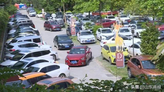 山东商报男子名下突然多出26辆车!一家人却为此愁坏了...